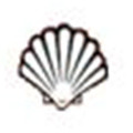 贝印/SHELL